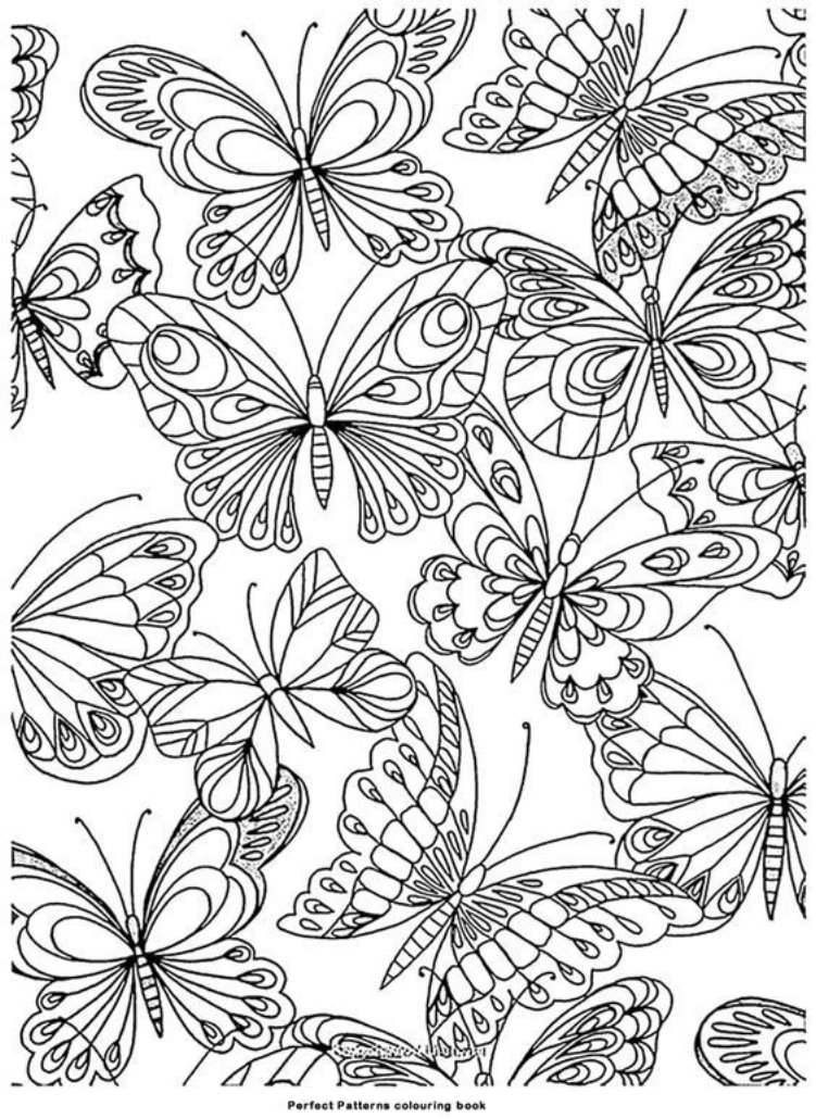 Идеи на тему «Раскраски антистресс бабочки» (15) | раскраски,  книжка-раскраска, бабочки